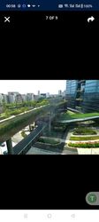 woods-square photo thumbnail #1